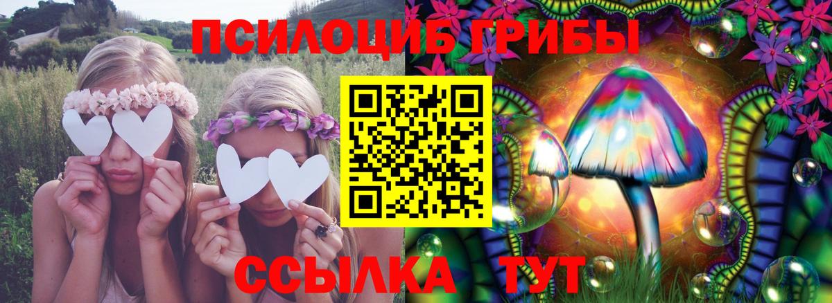 Галлюциногенные грибы MAGIC MUSHROOMS Тара