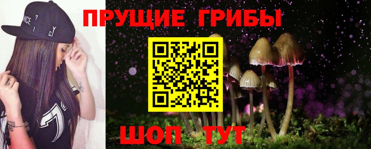 Тара  Псилоцибиновые грибы Psilocybine cubensis  Вход с VPN 